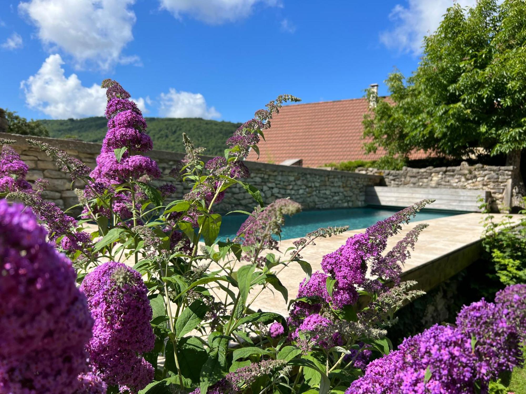 مبيت وإفطار Saint-Rambert-en-Bugey Les Granges De L'Eblouaz المظهر الخارجي الصورة